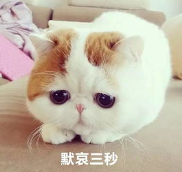  这么会抢饭碗,你们咋不上天呢