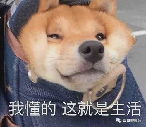  为何越来越多的人走上了先逾期后协商的道路