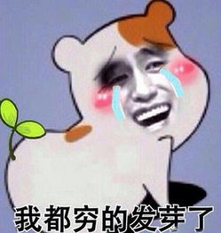  在奉贤,大学生2000元的生活费,不够花