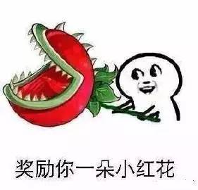  欧美日韩东南亚王者荣耀版本的你,是啥样子的