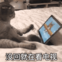  超可爱的表情包没回就是在看电视