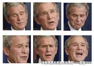  高清图2009年国际政要表情秀