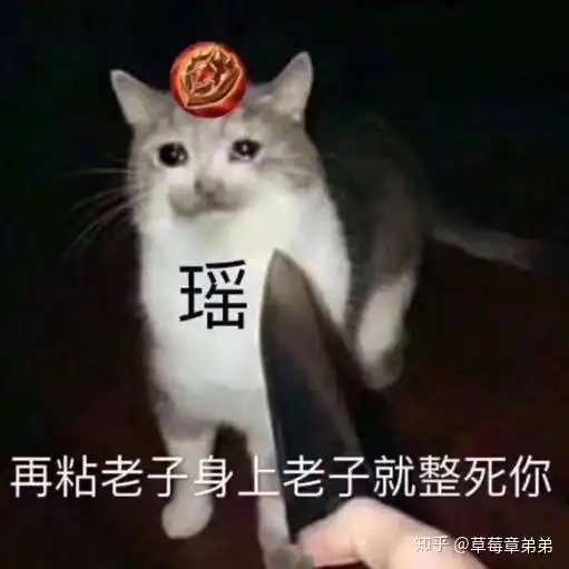  怎样才能找到一个瑶瑶辅助