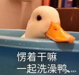 螃蟹大人的兔子表情包钱