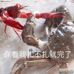  我再熬夜我男朋友就是狗表情包图片你看我扎不扎你就完了表情包下载乐游网游戏下载