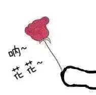 我的天呐表情包简笔画微