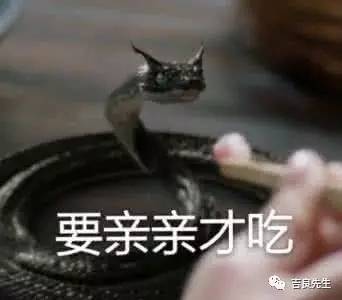  吉星高照赵又廷没有一个男明星,敢像他一样简单