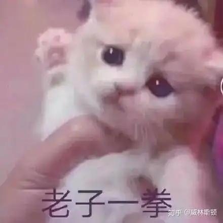  请留下一样你们引以为傲的表情包