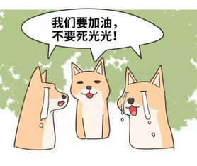  最萌戏精,你没用过它的表情包算我输