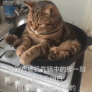  沙雕表情我肚皮拱你