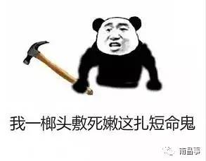  微信群斗图必备皮皮虾我们走,南昌宁专用表情包