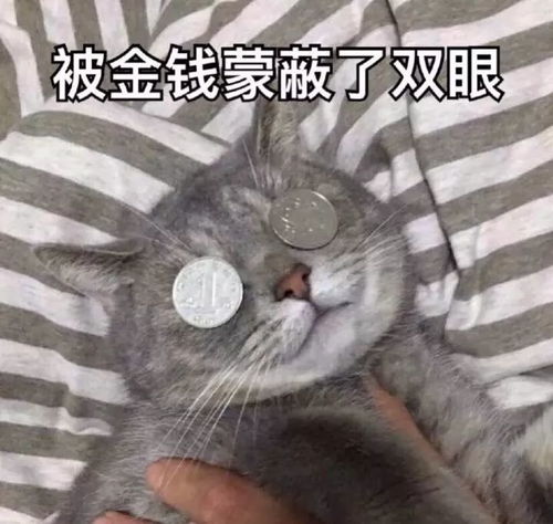  要花多少钱才能请碧昂丝在婚礼派对上唱歌