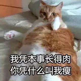  发一张教室女生走光图,真的都走光了哈哈哈哈......