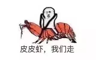  红极一时的鹦鹉兄弟已失宠表情包新宠皮皮虾横空出世