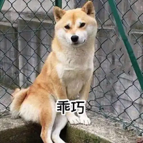  每日表情今日份心情