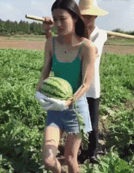  搞笑gif图大白天的关什么窗户,你得让阳光照进来