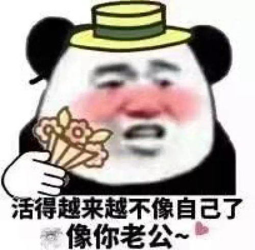  熊猫头表情包今晚没有情话,只想把你压在身下