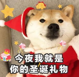  圣诞节前来一波表情包,还给你们准备了圣诞节礼物哦