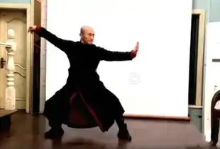  武僧一龙展示太极咏春拳法疑似嘲讽格斗狂人能让他赚钱我很欣慰