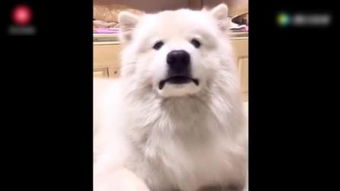  然后