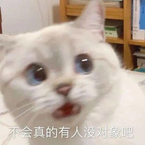  沙雕表情包宝贝多喝热水