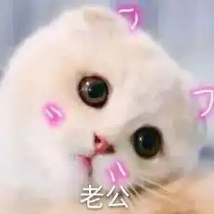  我看你是明天不想起来了