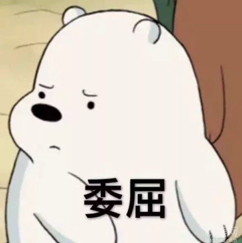 表情包战争免费玩一玩这