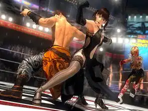  死或生5最后一战下载ps3死或生5最后一战中文版