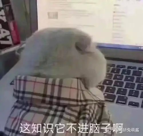  考研英语长难句刘晓艳好还是何凯文呀