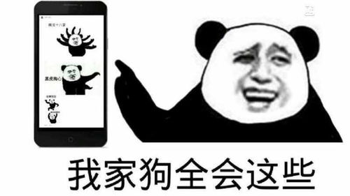  十条段子今天运气不好,分手的事还是以后再说吧
