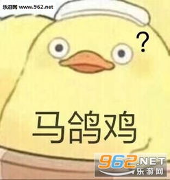  马鸽鸡表情包男人都是大猪蹄子表情包下载乐游网游戏下载