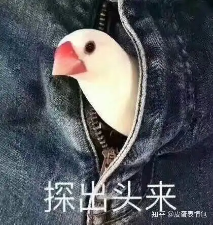  你有哪些好玩的颜艺照片或表情包