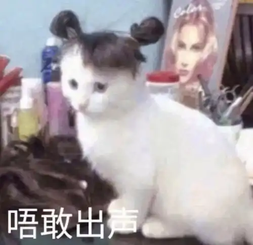  99的姑娘都应该学会的屏障修复方法
