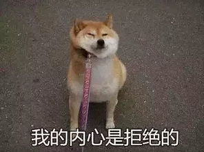  羡慕最长63天贵州省中小学高校寒假放假时间定了