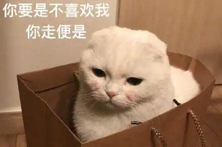  当初是男友说养猫就分手,现在回家却惊见抱紧小三打游戏