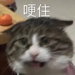  软妹怼人专用表情包,好生气但还是要保持可爱,敲里奶奶