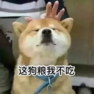  每日表情情侣单身狗斗图表情包