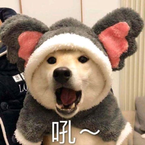 学习之路道阻且长,好资源怎能不与小朋友们分享