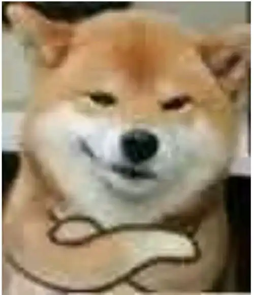  python练习03上机考试1