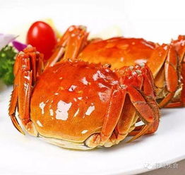  这些在国外入侵物种,来到中国只能成为美食
