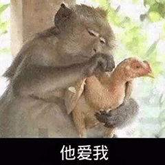 老婆你真棒动态表情包你不爱我