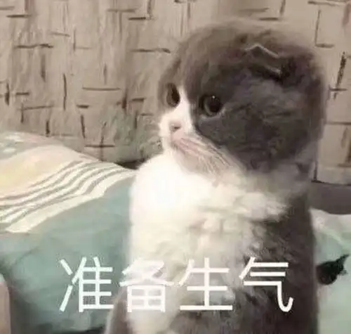  搞笑gif回去怎么跟老公解释这下完蛋了