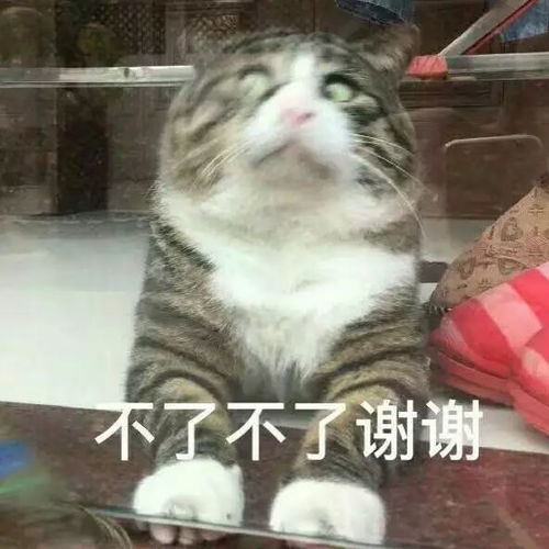  15款网红气垫产品实测,最难用的居然是它