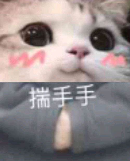  对脑瘫的简要科普和对up小志不上传的看法