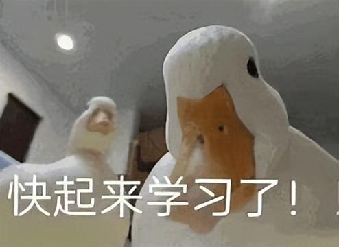  是我,鸭鸭