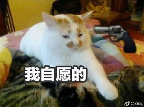  你的钱包还好吗春节总结刷屏,内容过于真实网友我自愿上班