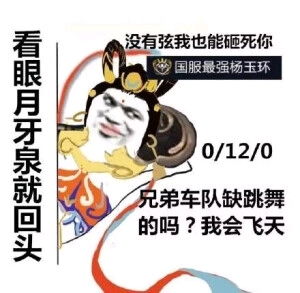  国服王者表情包