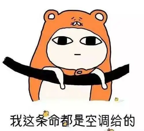  哔哩哔哩专栏