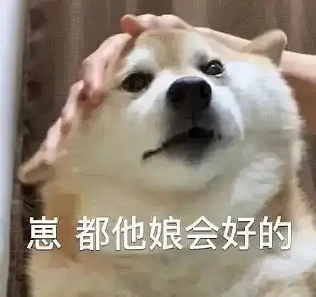 狗头表情包原型文案