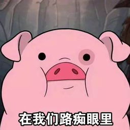  表情包丨请给路痴一点关爱